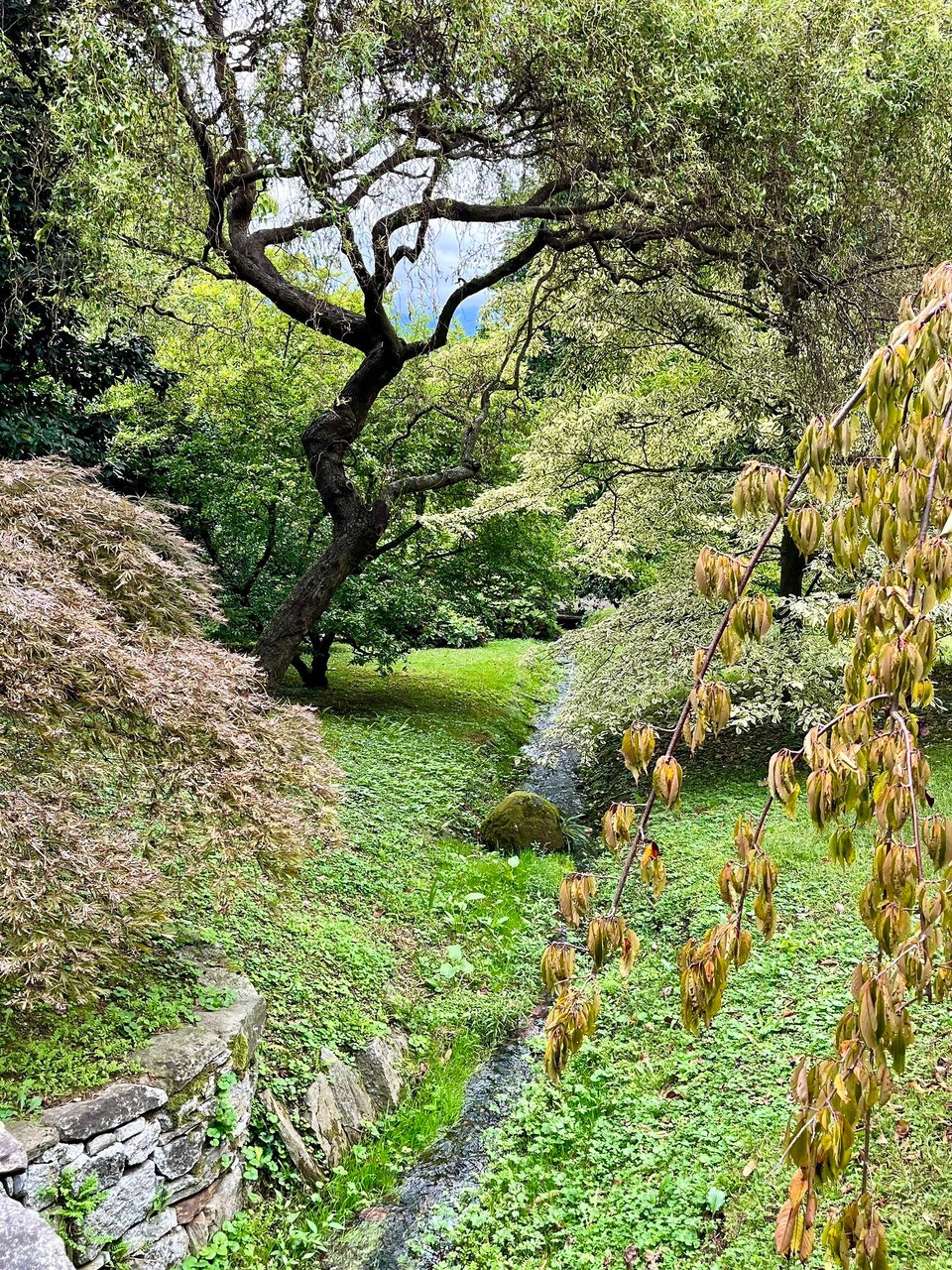 Italien - Verbania - 