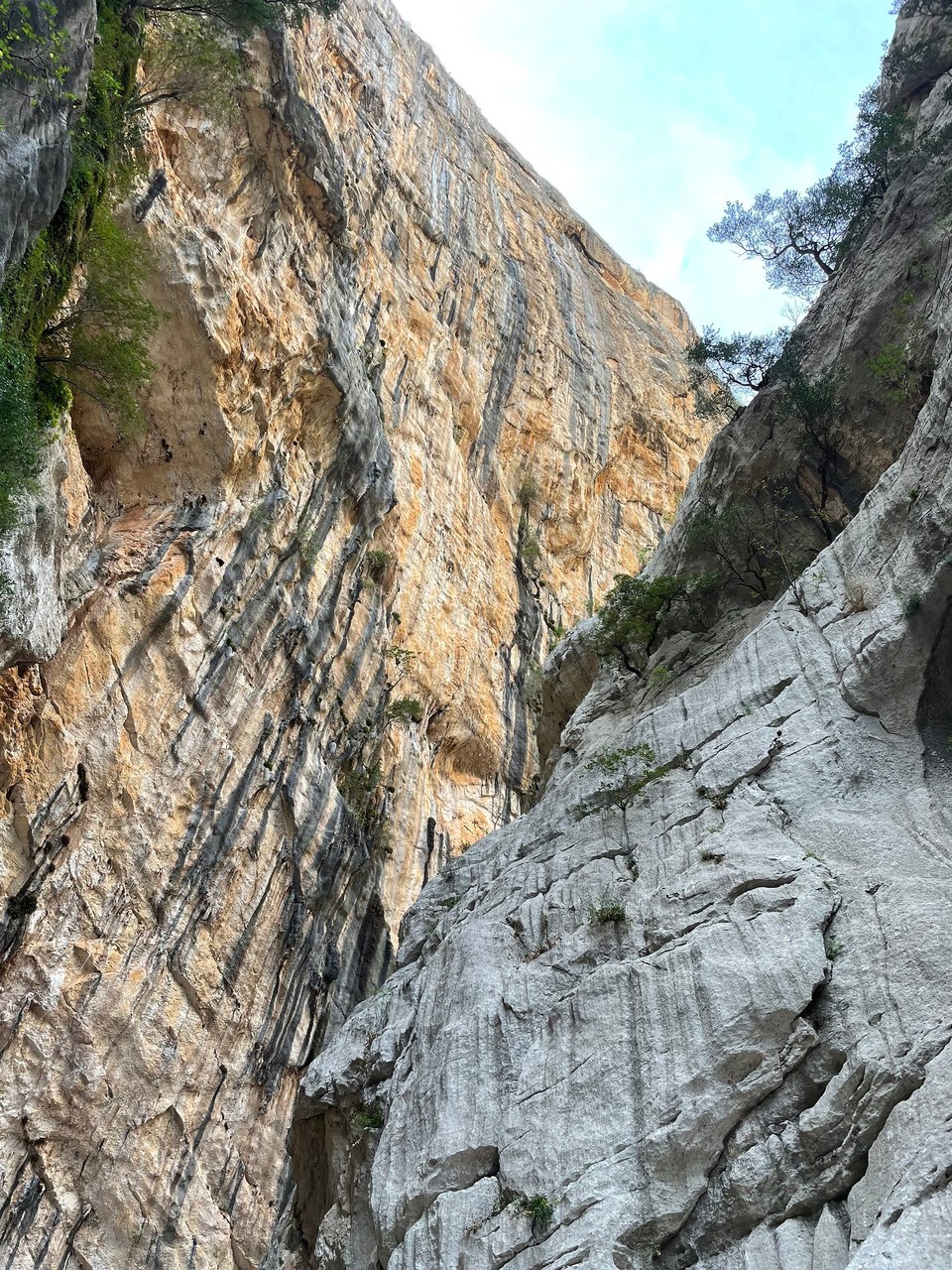 Italien - Dorgali - 