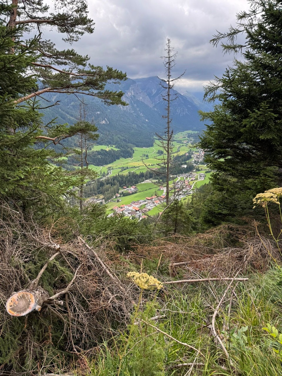 Österreich - Trins - 