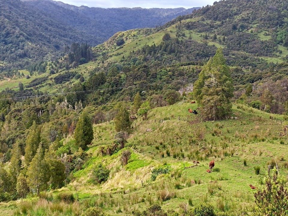 Neuseeland - Kumetewhiwhia - 