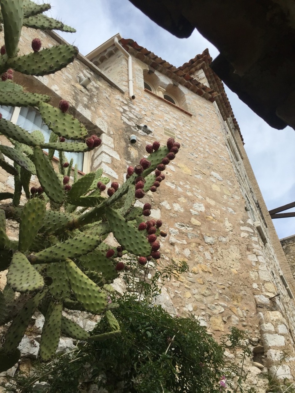 Frankreich - Eze - 