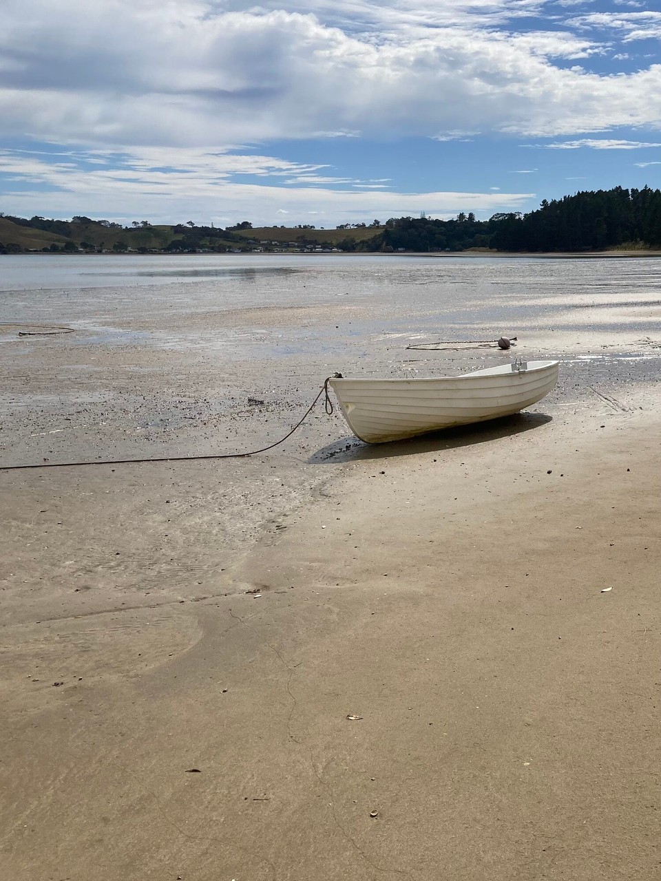 Neuseeland - Hikurangi - Spaziergang bei Ebbe