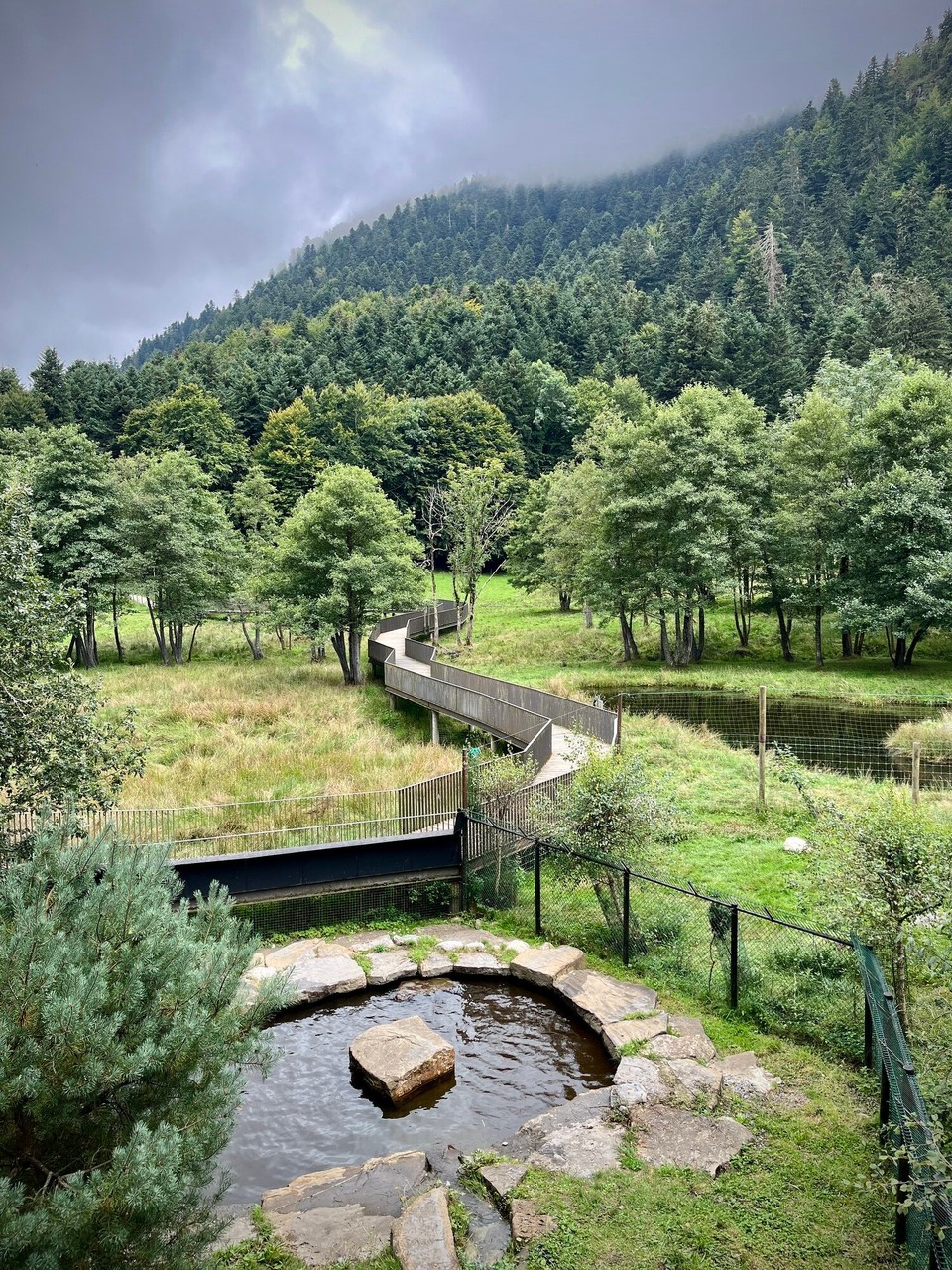 Frankreich - Bagnères-de-Bigorre - Tierpark Aran
