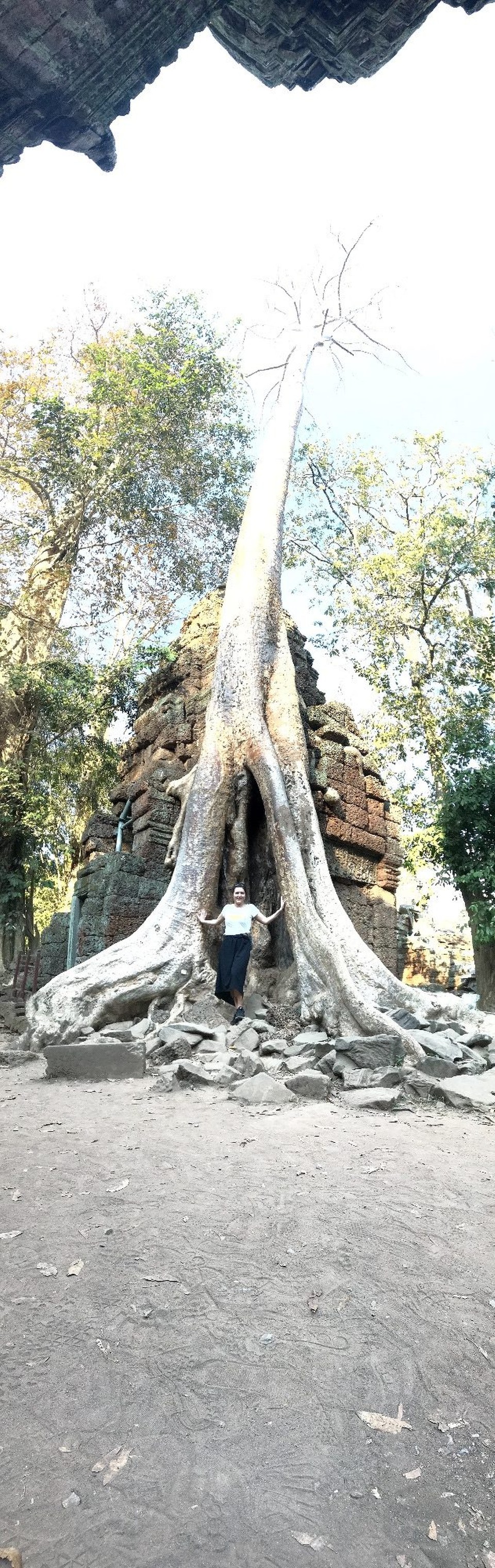 Kambodscha - Siem Reap - 