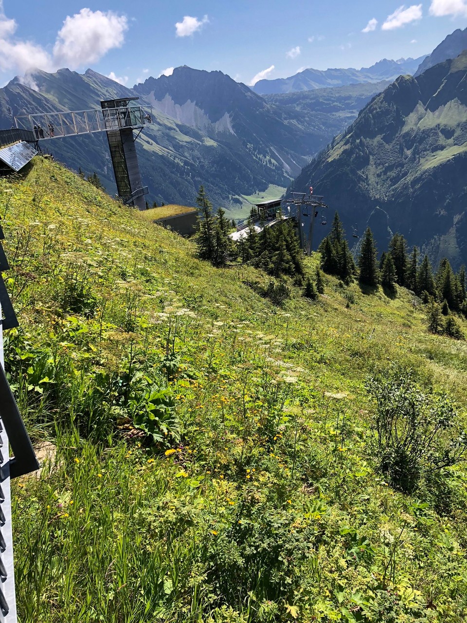 Deutschland - Oberstdorf - Schön für Wanderer. Hier sieht man  ich Viele   Verschiedene bunte Schmetterlinge