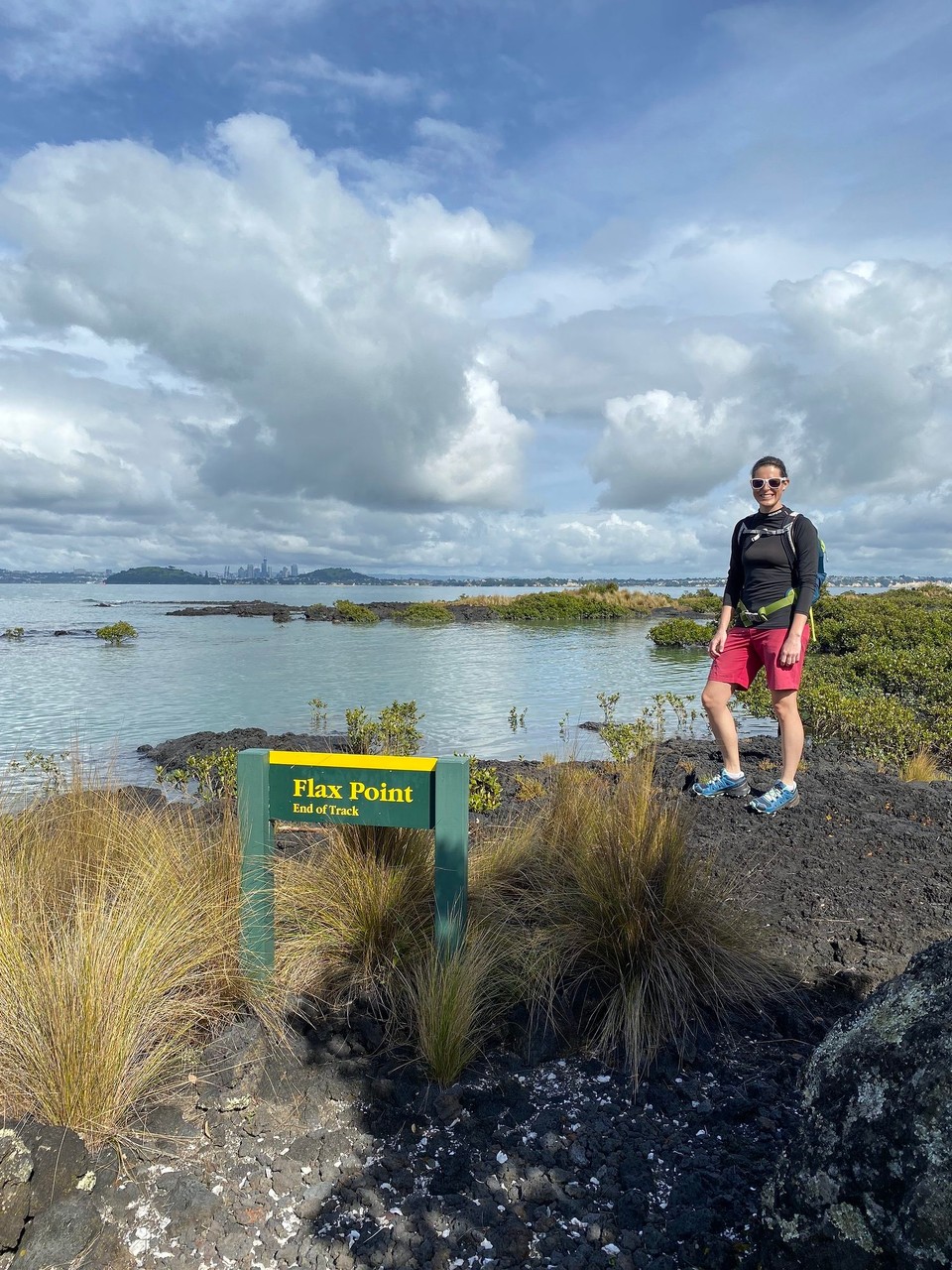 Neuseeland - Waitemata and Gulf Ward - 