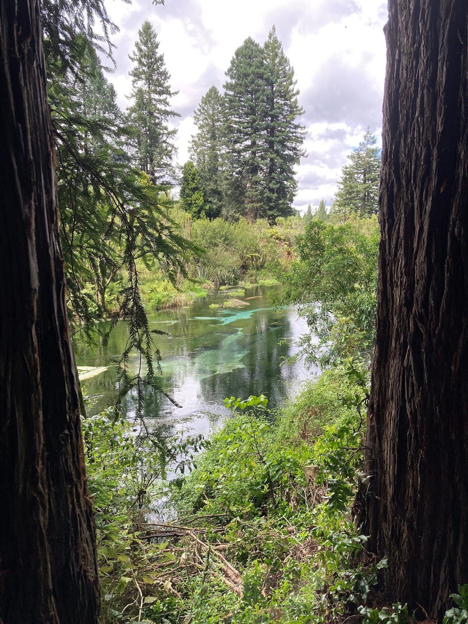 Neuseeland - Hamurana - 