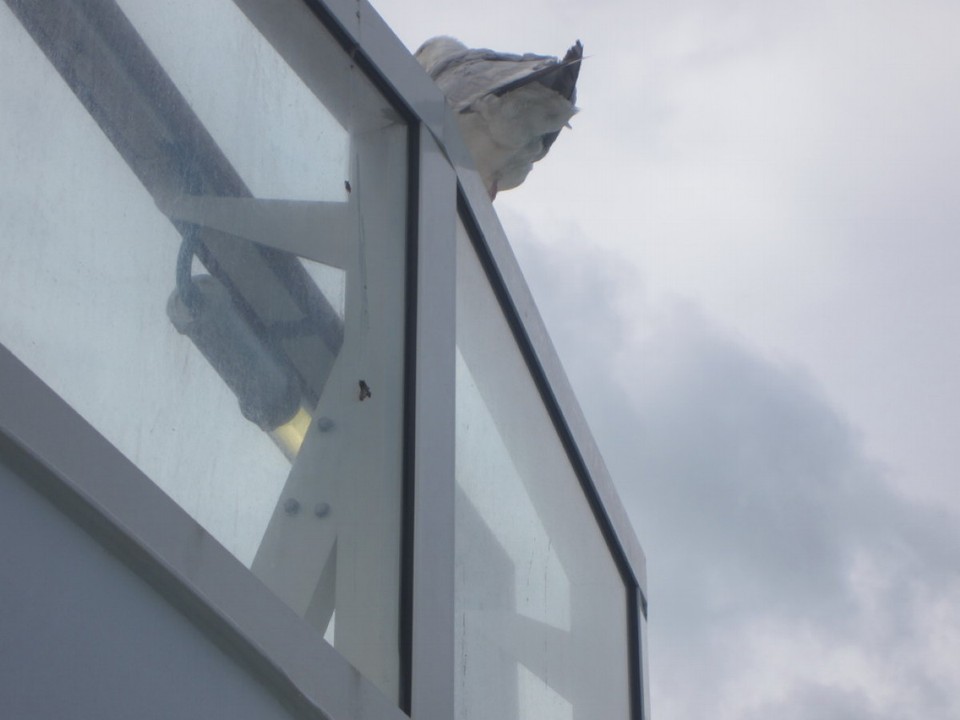 Vereinigtes Königreich - Dover - 