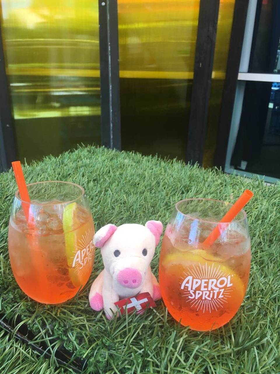 Australien - Melbourne - Cool down für Grunzi