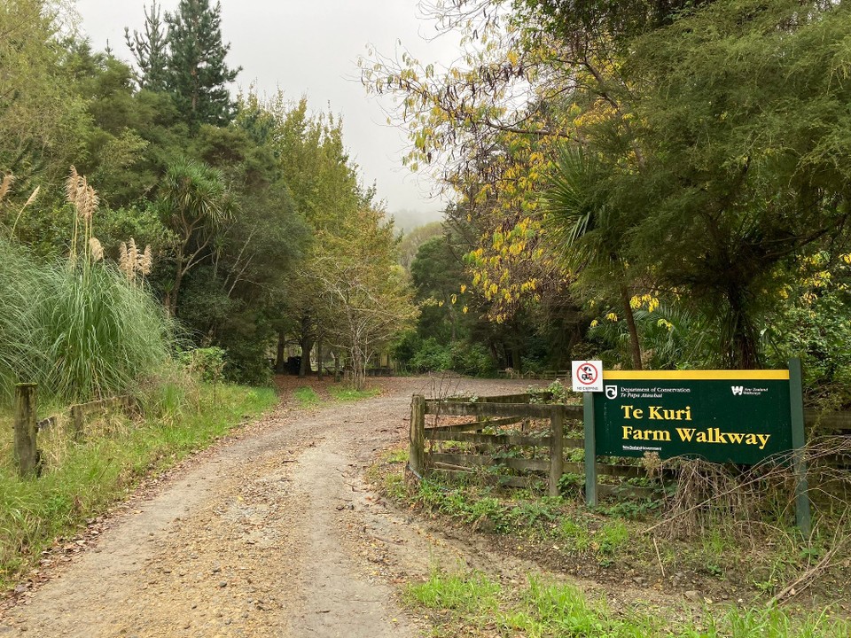 Neuseeland - Gisborne - 