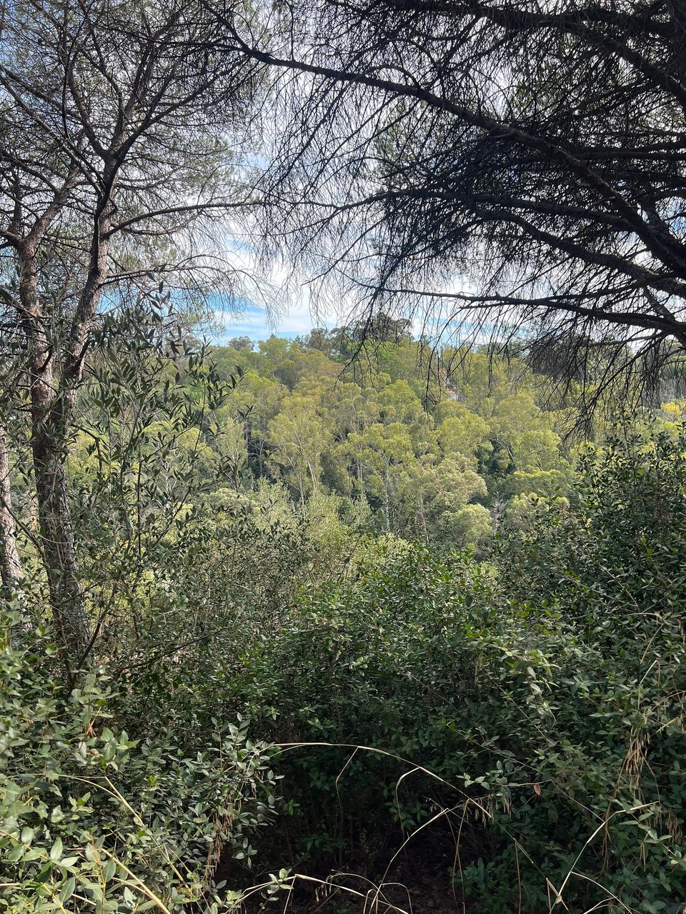 Portugal - Lissabon - 