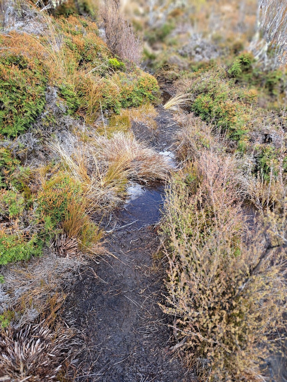 Neuseeland - National Park Village - 