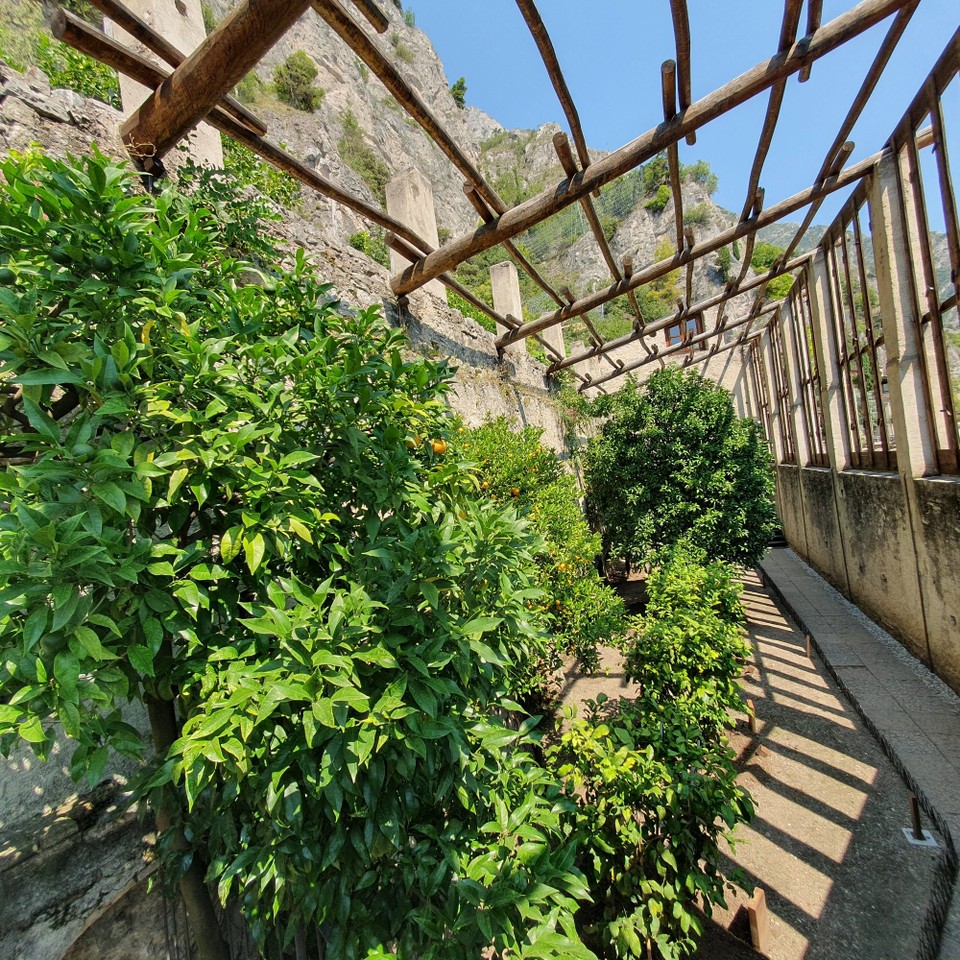 Italien - Limone Sul Garda - Heute ist das Gewächshaus Teil des Museums, bei dem sich alles um die Zitrusfrüchte dreht.