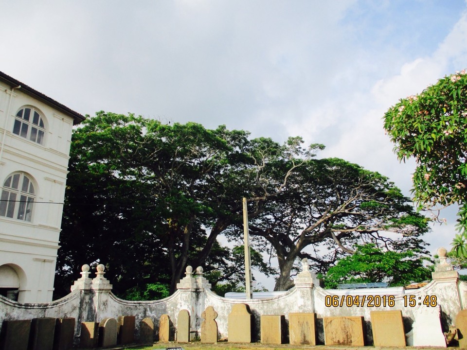 Sri Lanka - Galle - 
