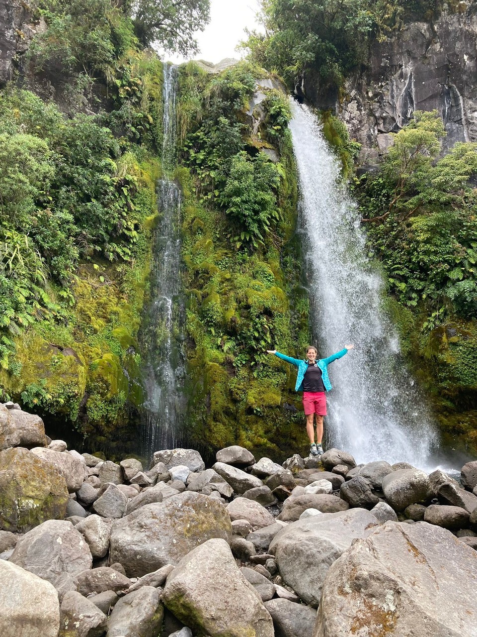 Neuseeland - Eltham - Dawson Falls