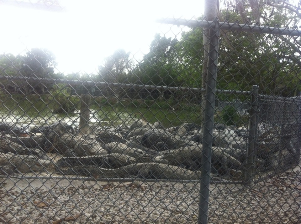 Egyesült Államok - Homestead - 