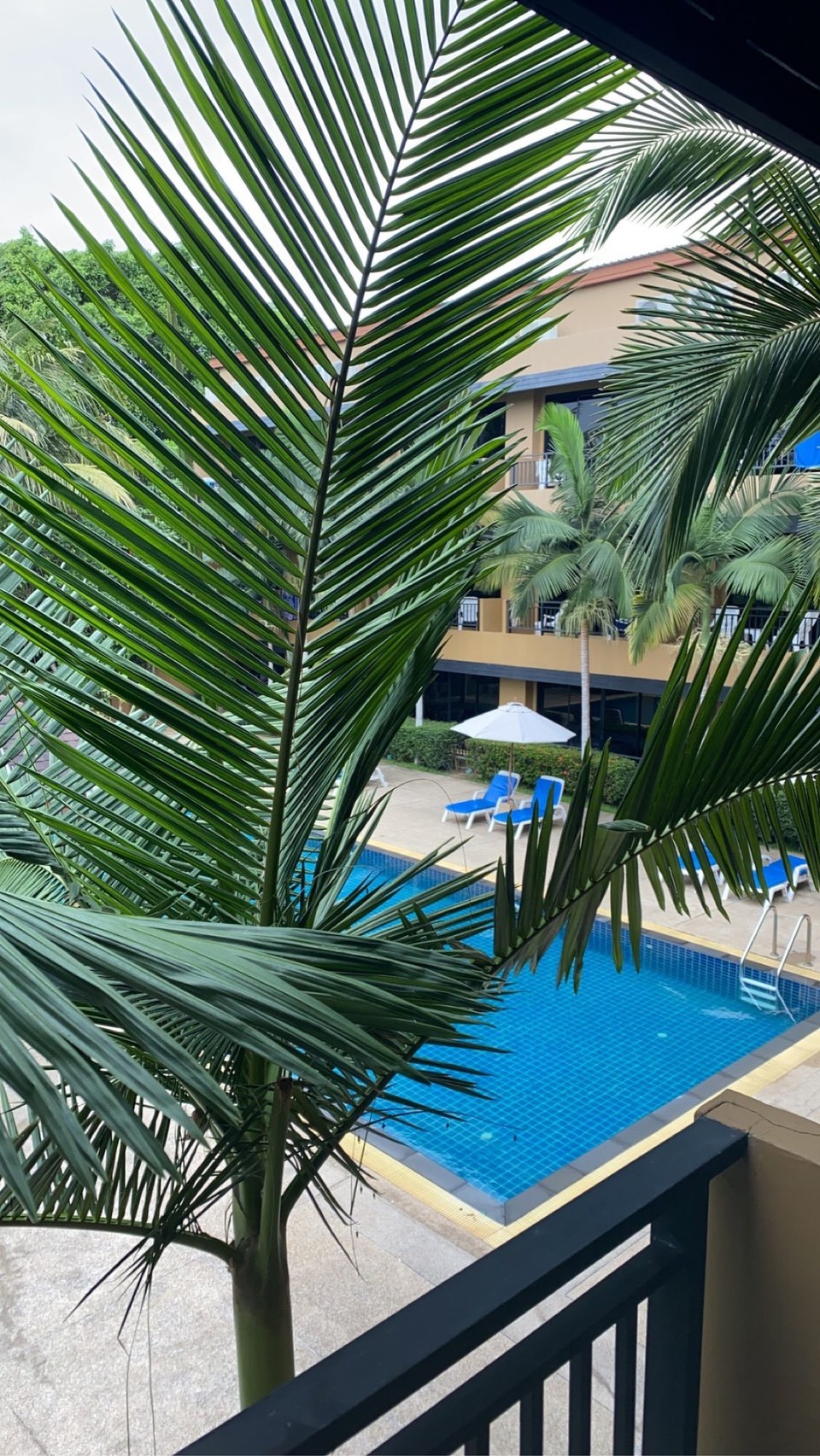 Thailand - Thalang - 