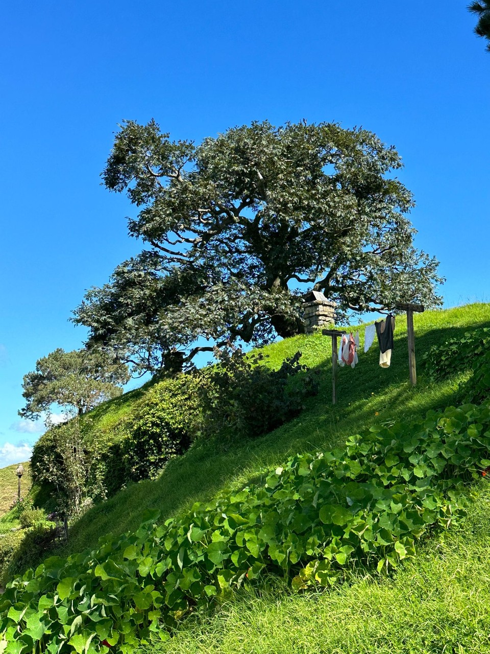 Neuseeland - Rotorua - und ein komplett in China hergestellter künstlicher Baum mit 150000 Blätter