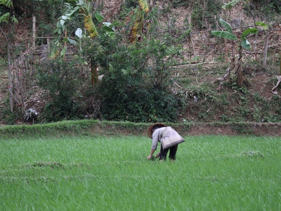 Vietnam - H. Mai Châu - 