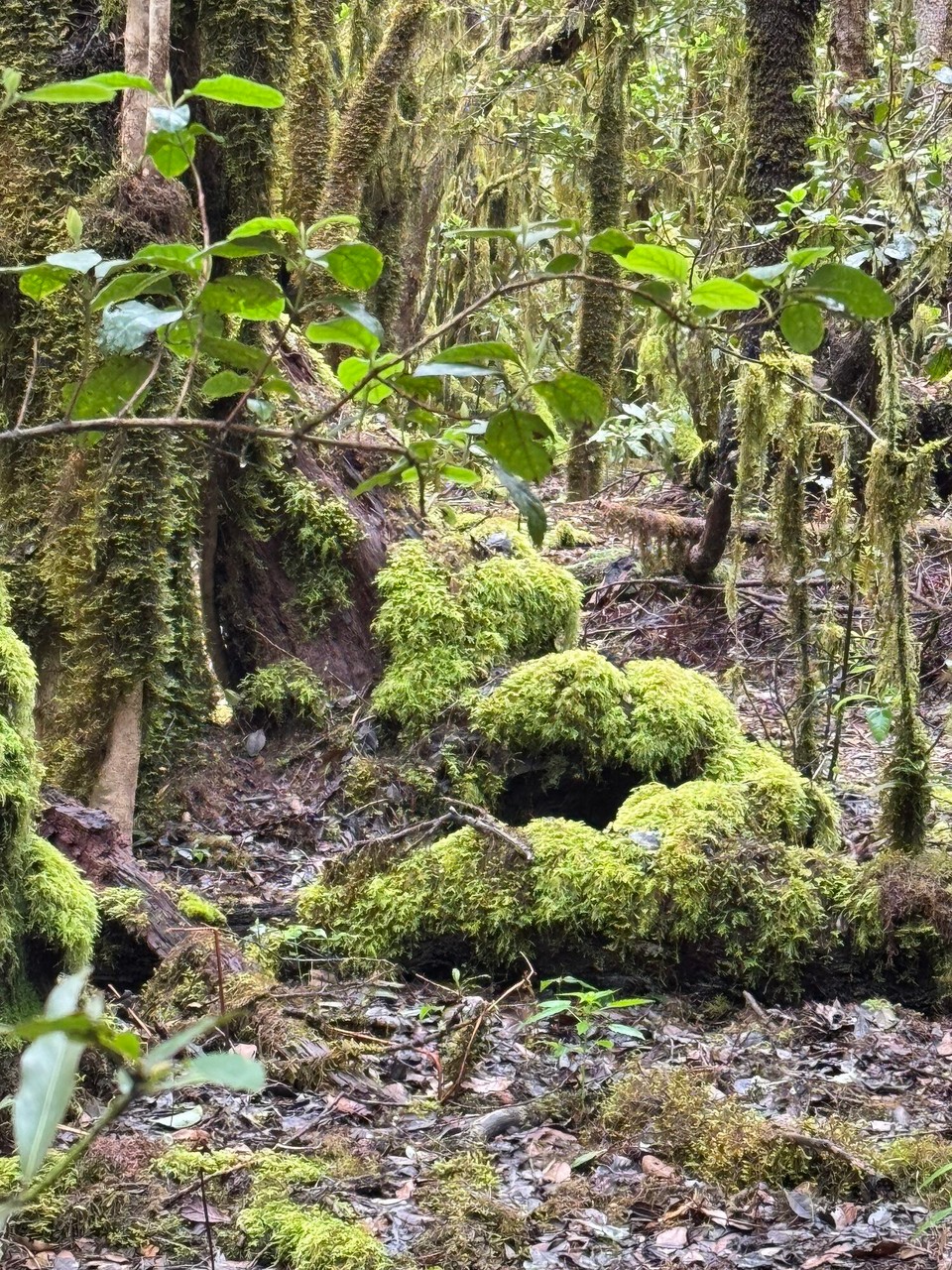 Spanien - San Sebastián de La Gomera - 