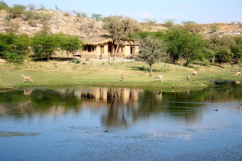 Lakshman Sagar -  - 