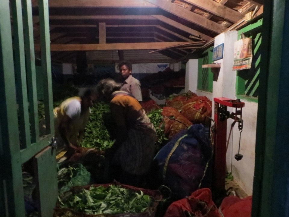 Indien - Coonoor - 