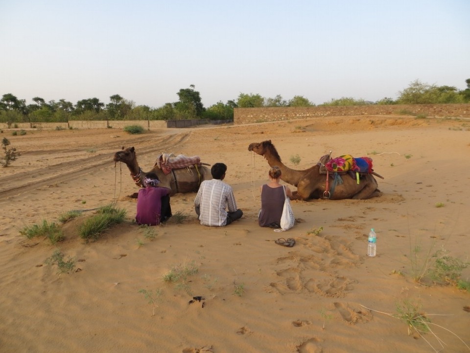 India - Pushkar - 