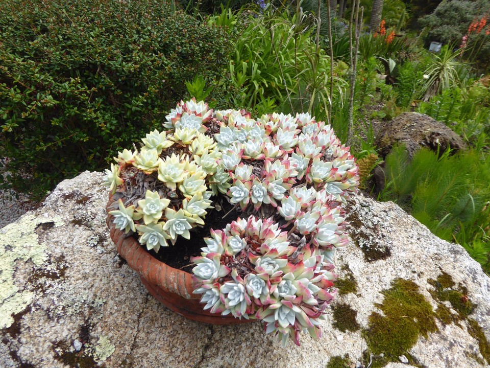 United Kingdom - Isles Of Scilly - 