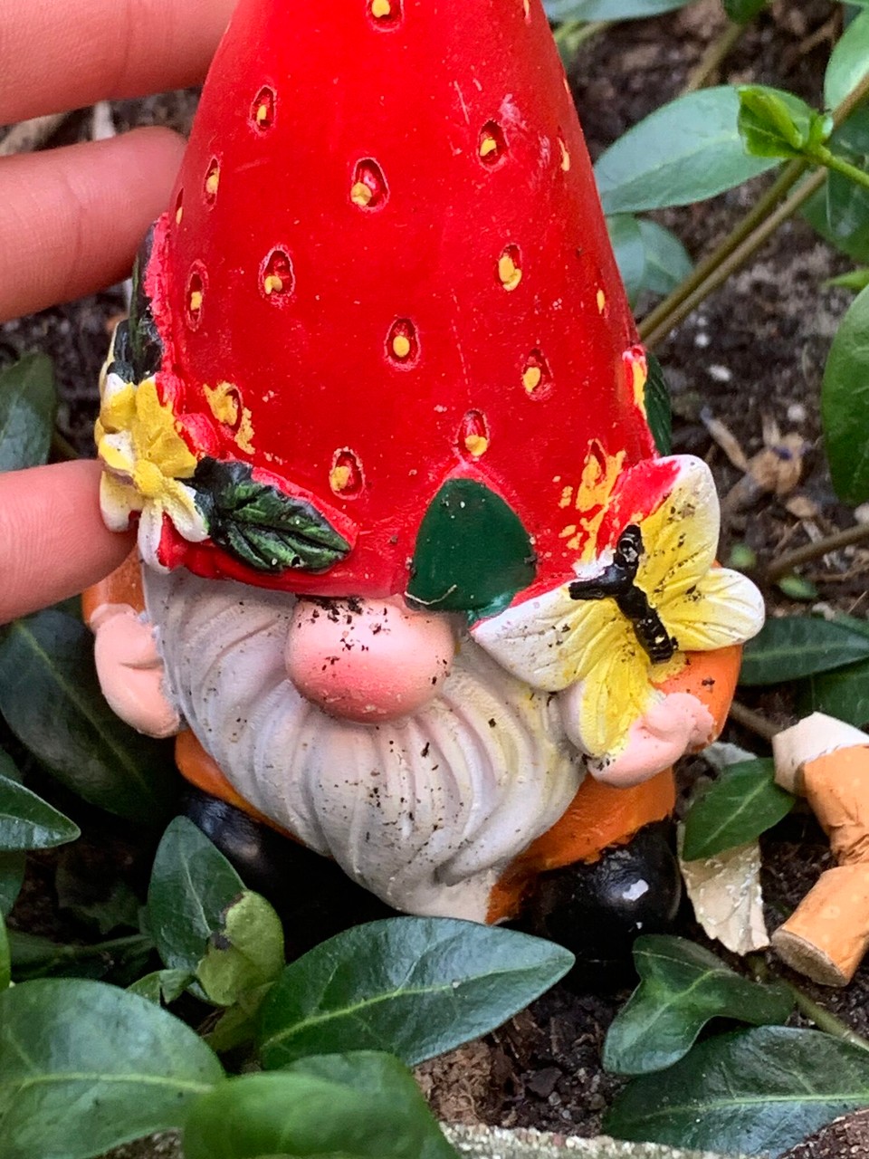 Netherlands - Amsterdam - 