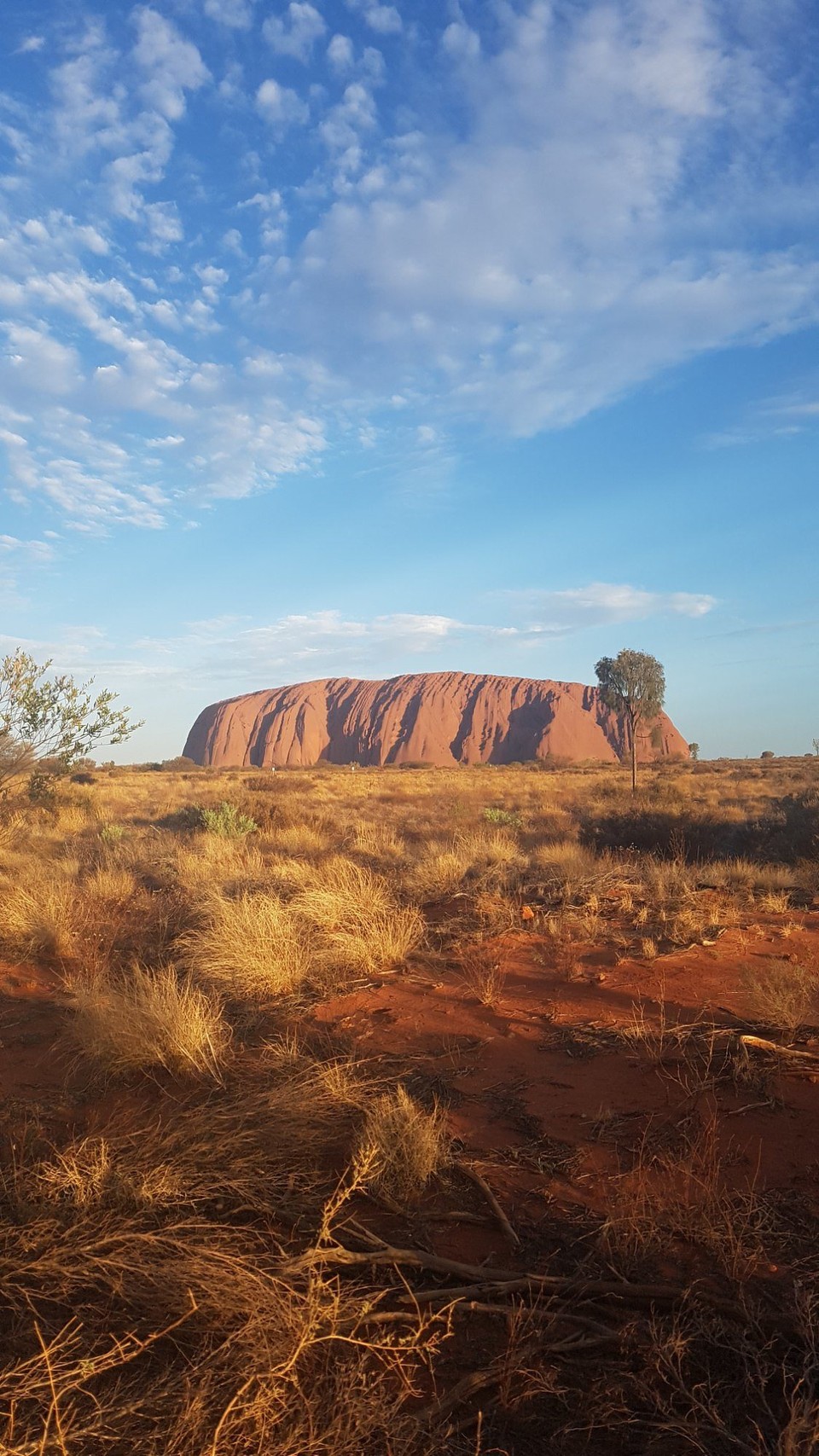 Australien - Petermann - Uluru