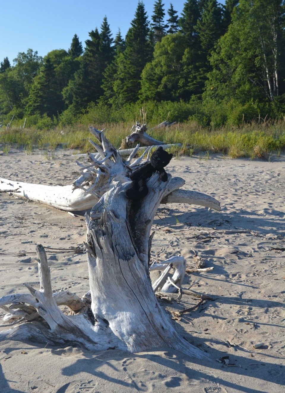Canada - Neys - Beachcombing!