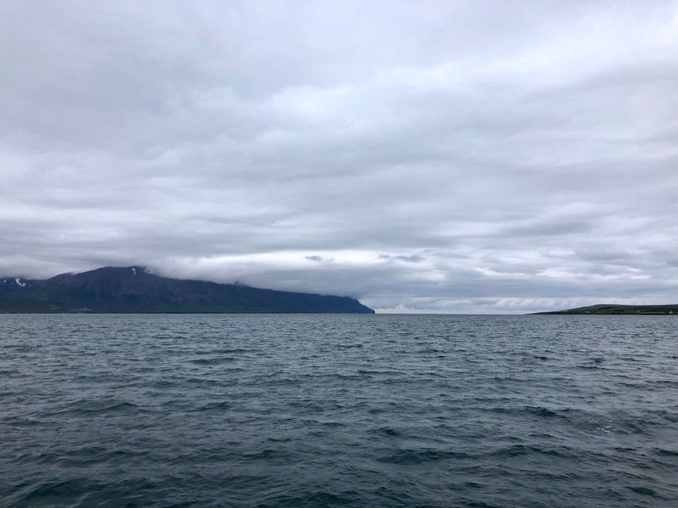  -  - Wir sind nun nahe bei der Insel Hrísey.