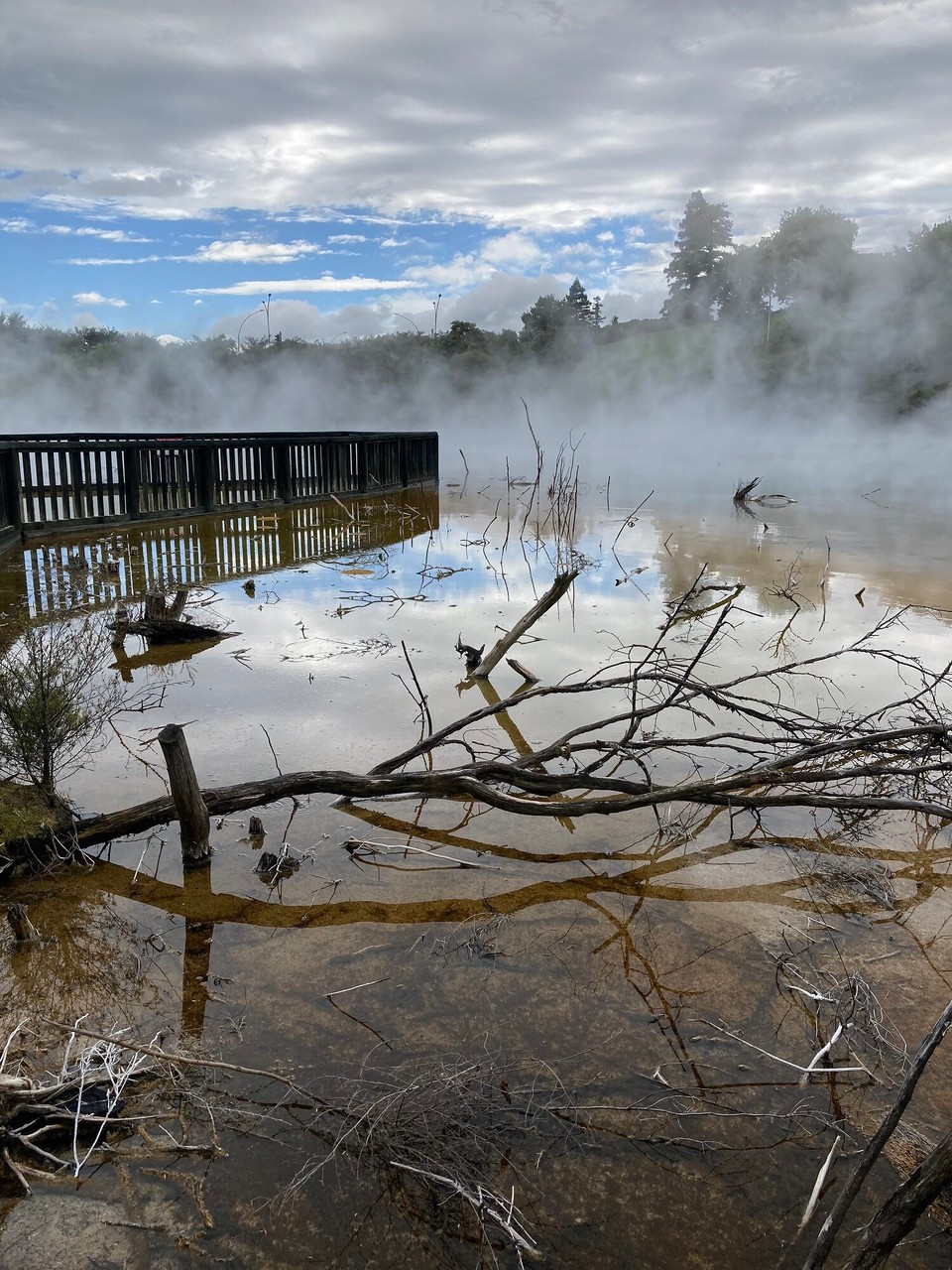 Neuseeland - Rotorua - 