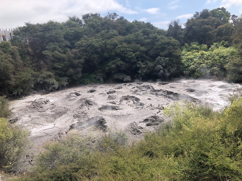 Neuseeland - Whakarewarewa - Blubbernde Mud pools