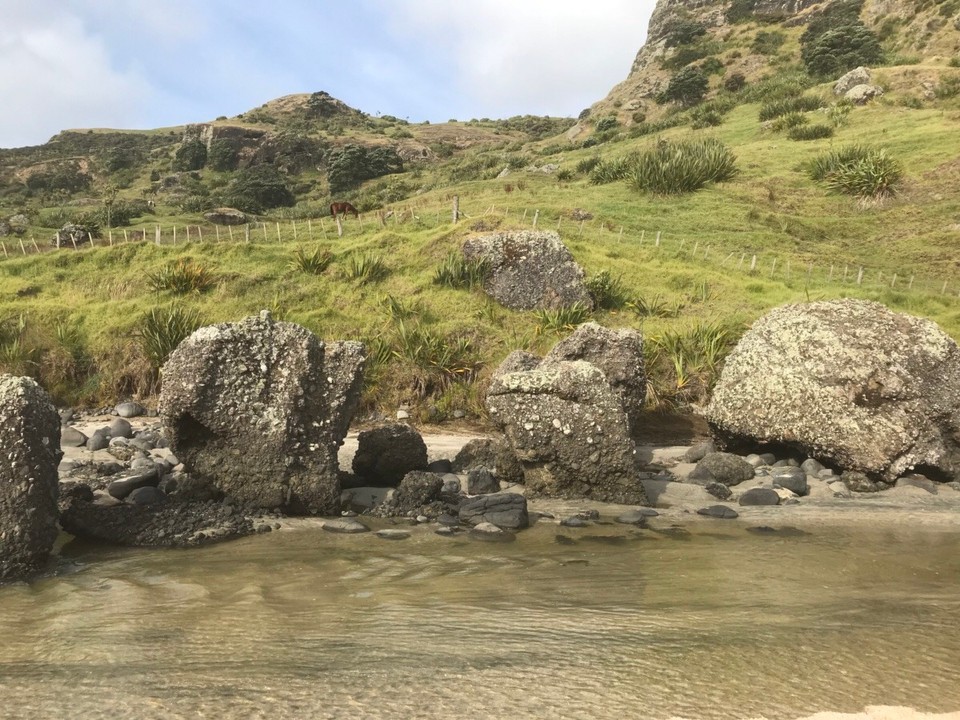 Neuseeland -  - Mit glücklichen Pferden