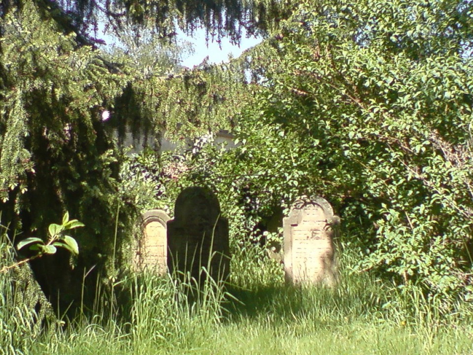 Deutschland - Deidesheim - Jüdischer Friedhof