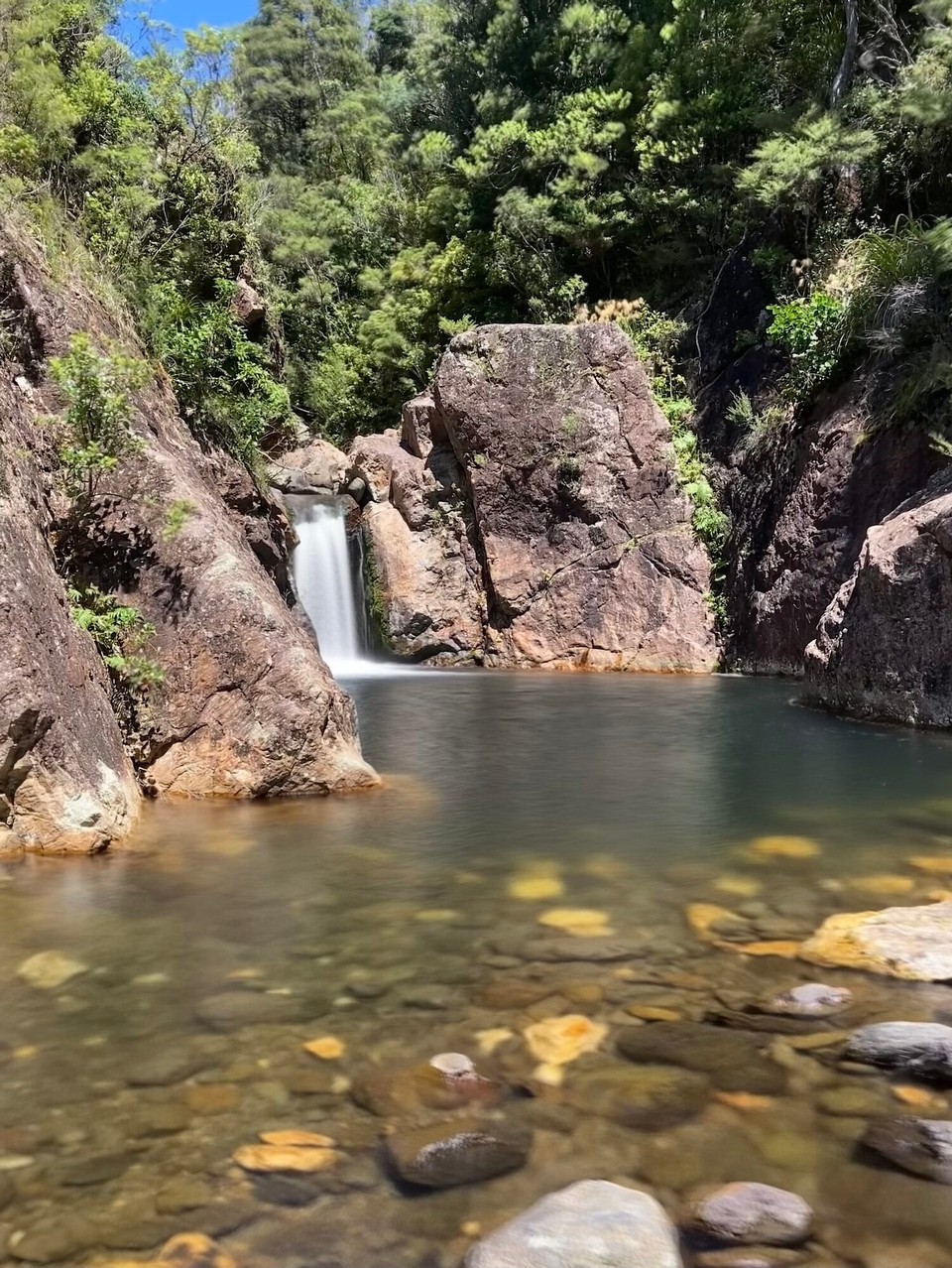 Neuseeland - Coromandel Forest Park - Wharekirauponga Falls