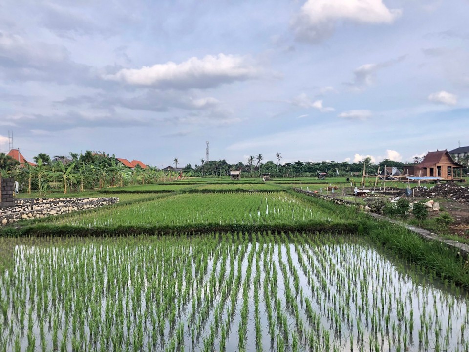 Indonesia - Seminyak - 