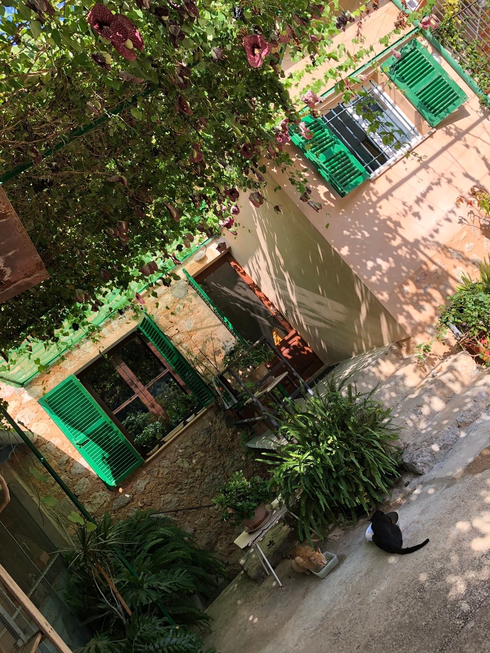 Spanien - Sóller - 