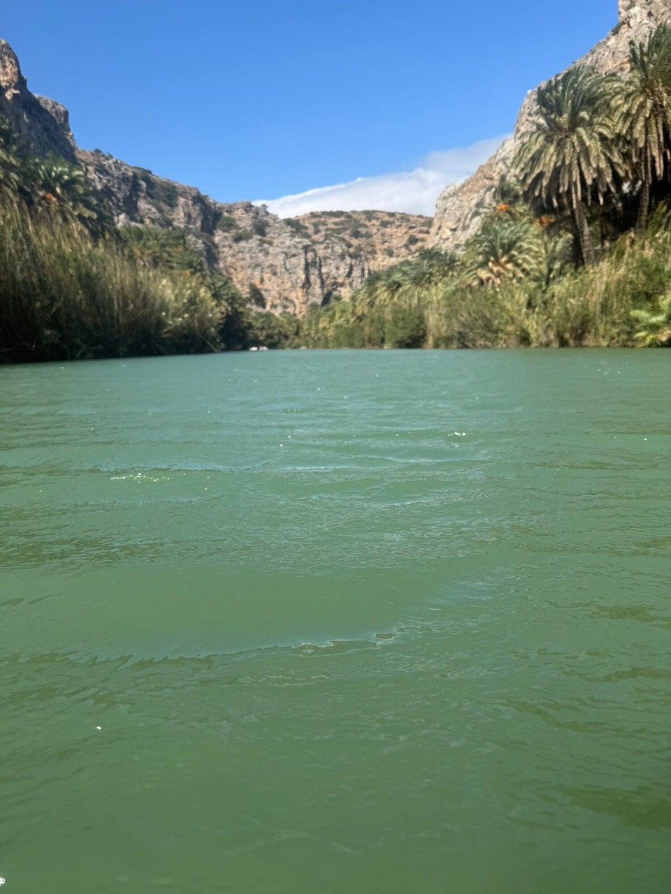 Griechenland - Asomatos - Und los… rein ins Wasser und durch‘s Palmenspalier waten! 