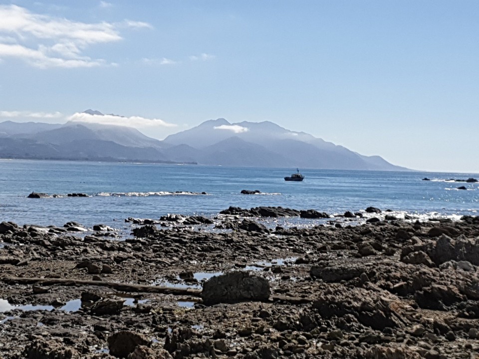 Neuseeland - Kaikoura - 