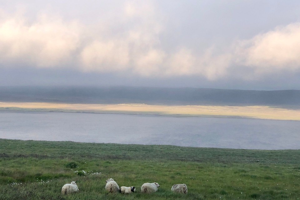 Island - Húnaþing vestra - Tatsächlich lockert sich hier wohl langsam die Bewölkung wieder auf. Freude herrscht! Aber hätte das nicht einen Kilometer früher passieren können? Dann hätten wir uns noch den Hvítserkur Felsen ansehen können. Der sieht so schön aus. Aber mei, mal schauen, wie es mit den Wolken nun weitergeht...