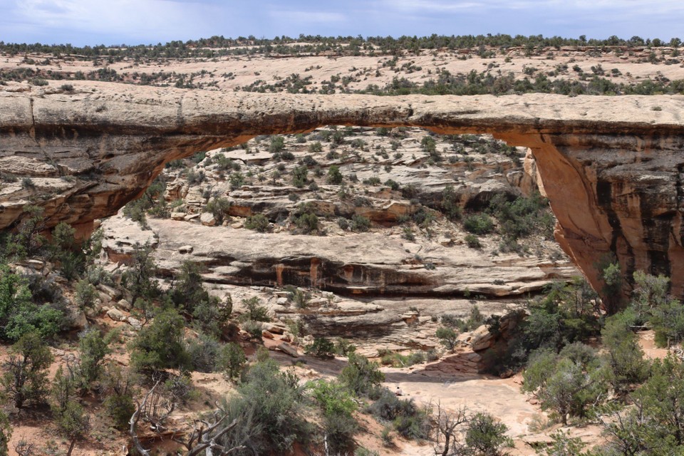 USA - Moab - Natural Bridges NM