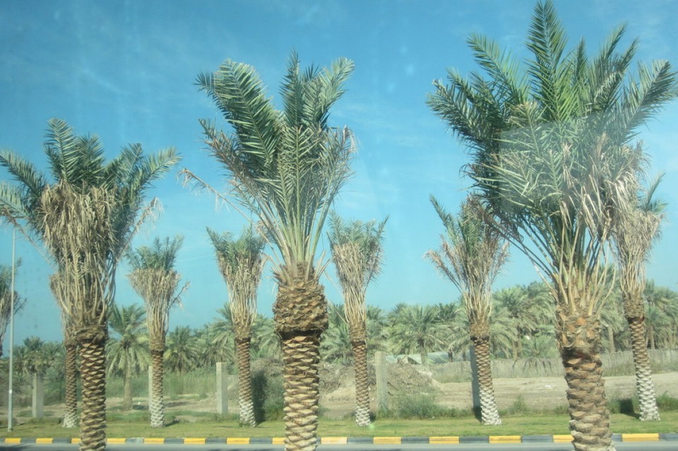 Bahrain - Manama - 