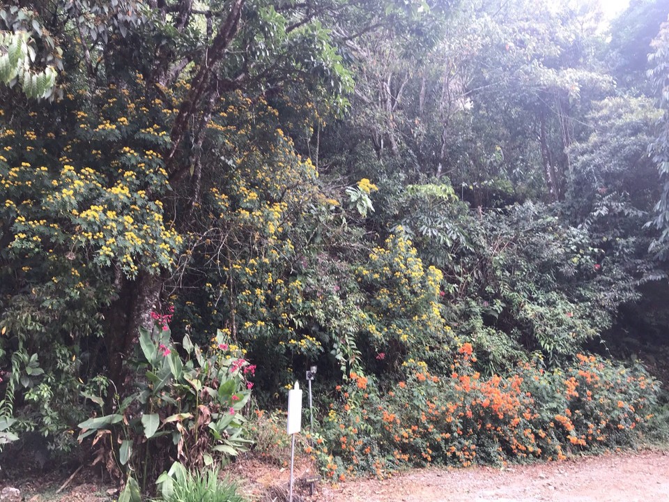 Costa Rica - Aguirre - 
