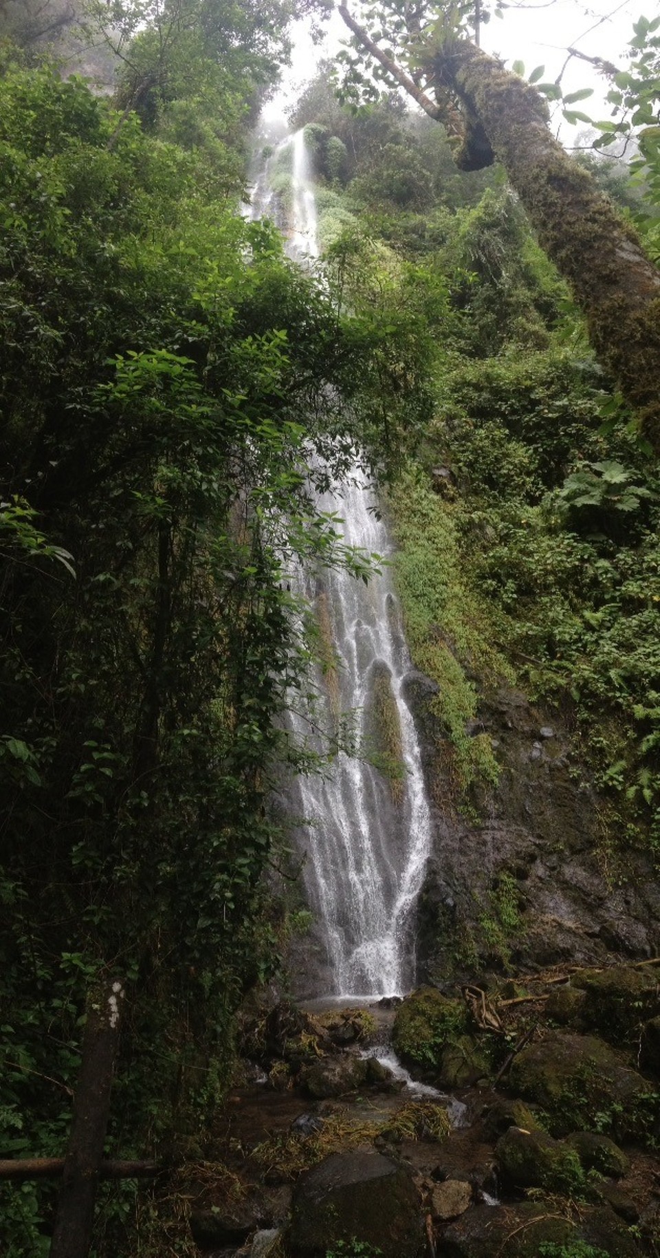 Colombia - Santa Rosa de Cabal - Wasserfall. Schön.