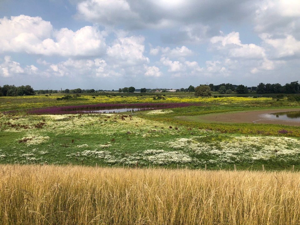 Deutschland - Kleve - 