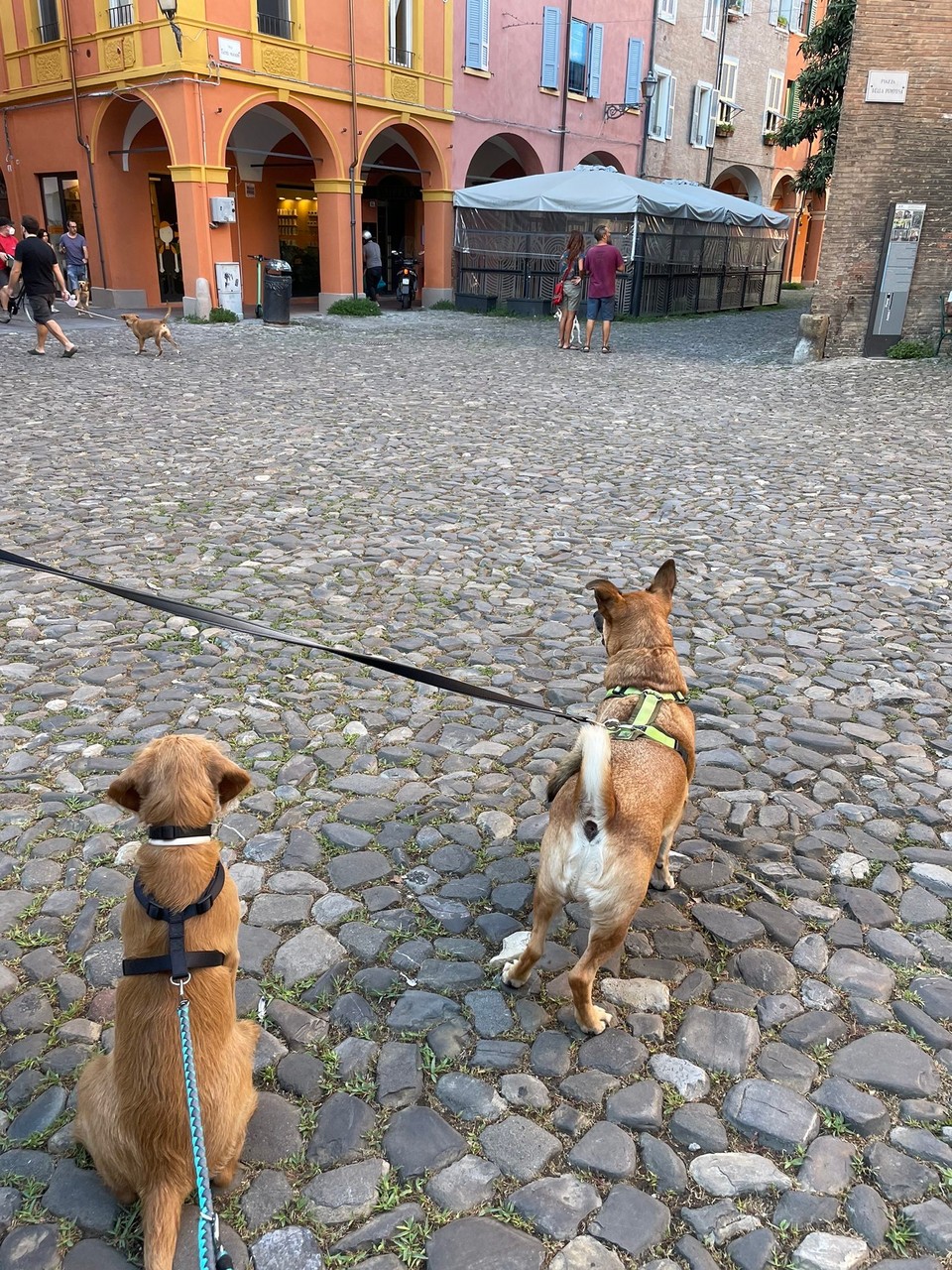Italien - Modena - 