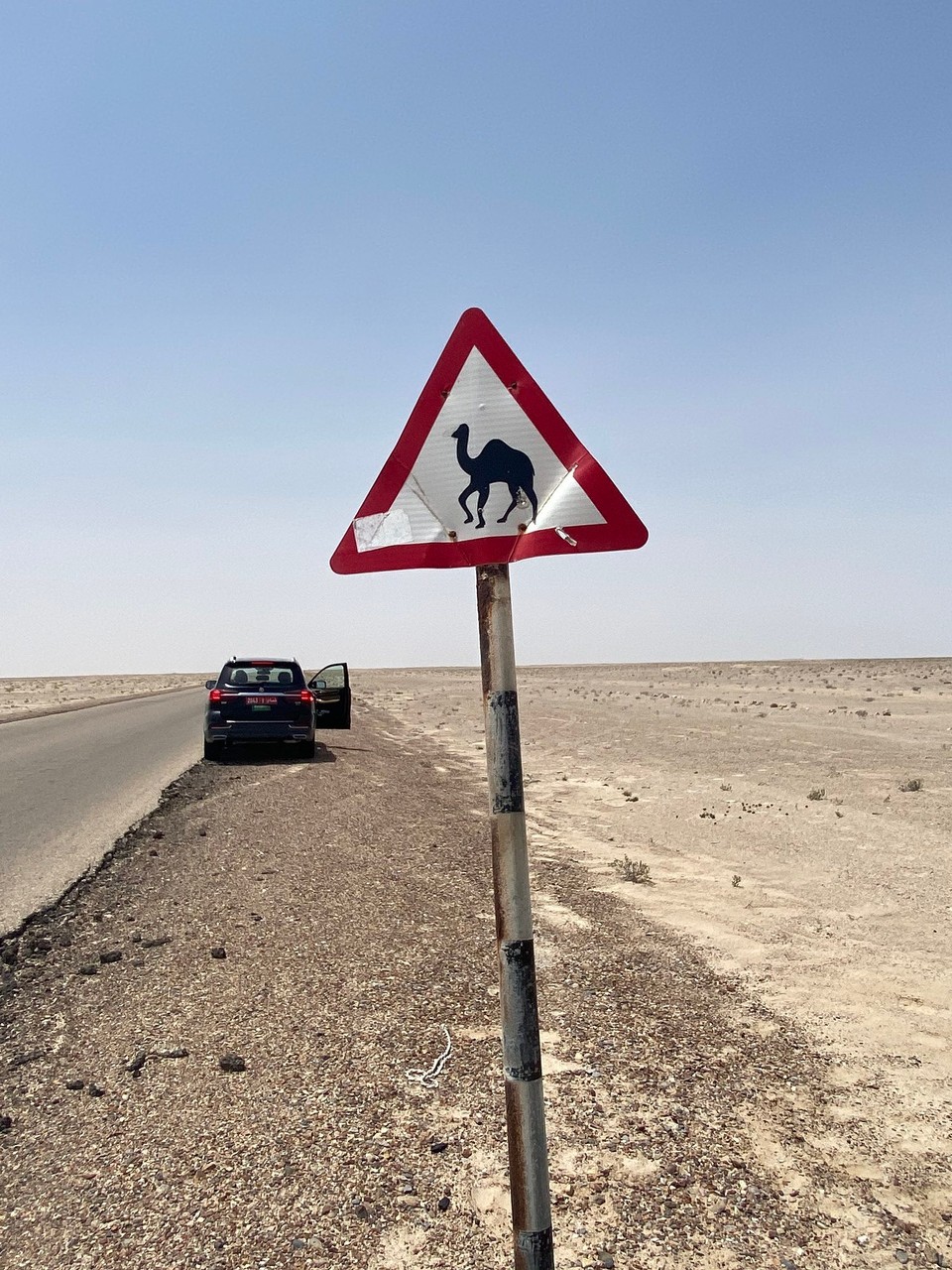 Oman -  - Da hat das Kamel wohl nicht aufgepasst