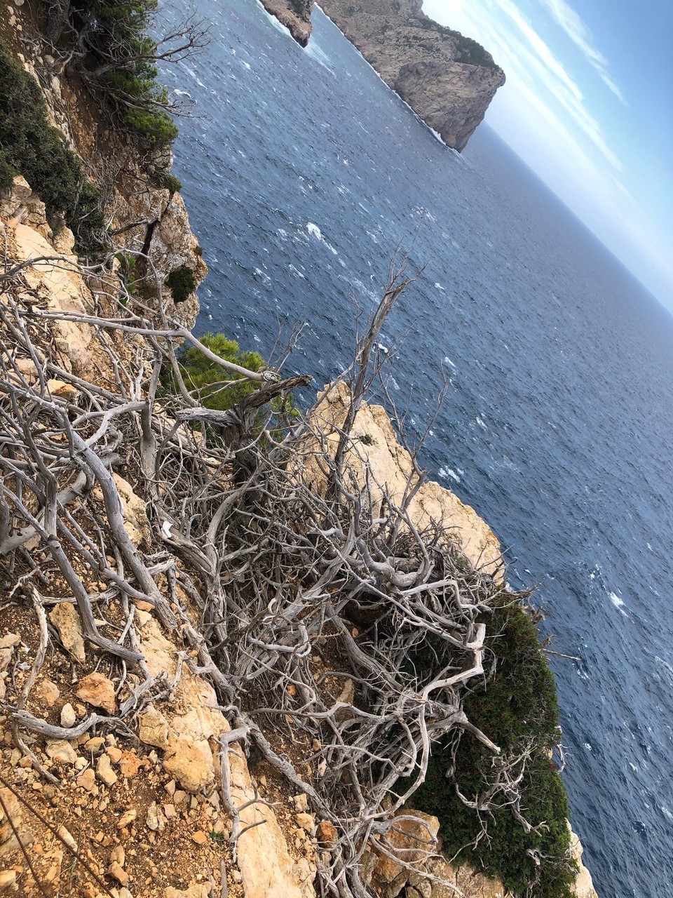Spanien - Pollença - 